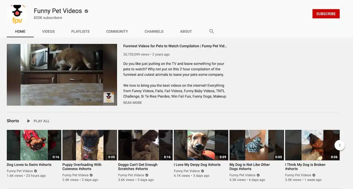 Funny Pet Videos