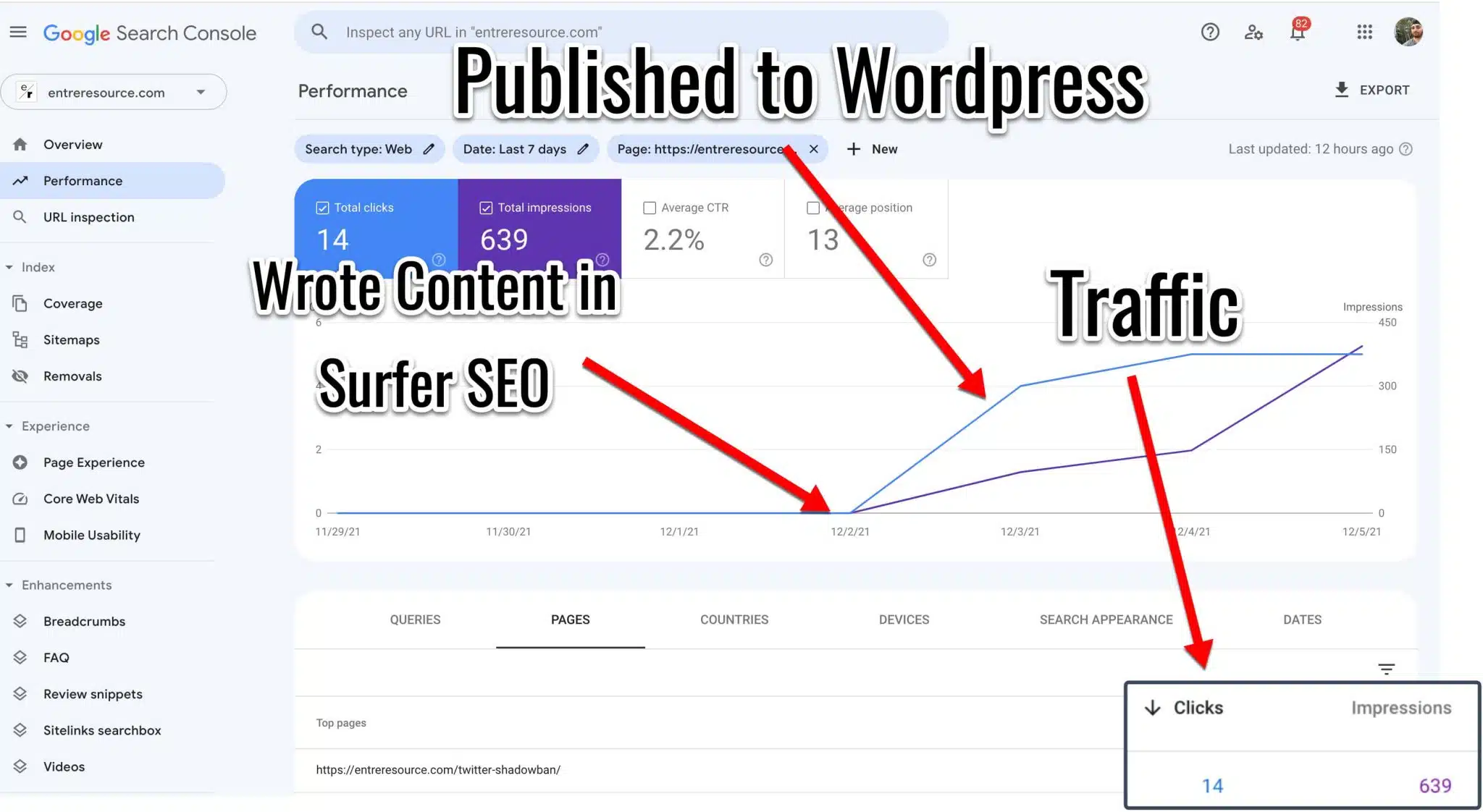 My Surfer SEO Rankings Example 