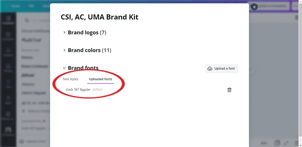 upload fonts to canva 4