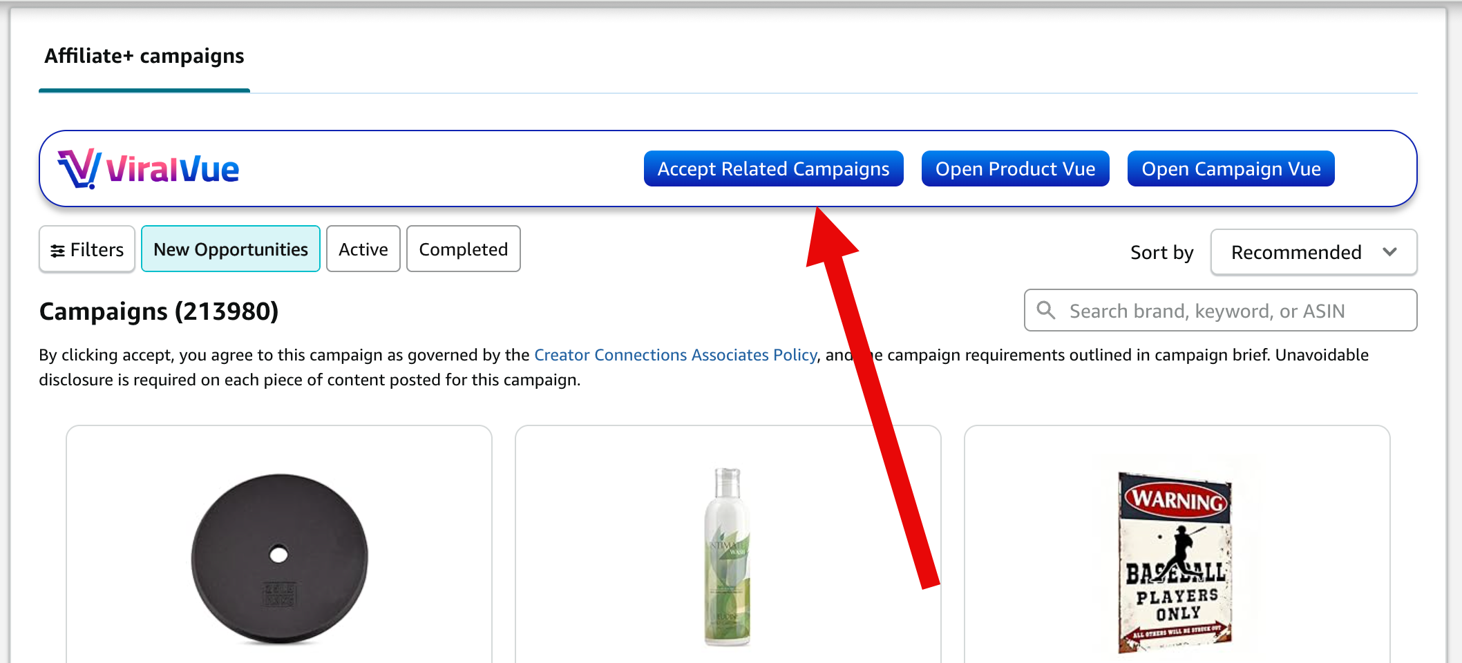 Viral vue finds creator connection opportunities - EntreResource.com Viral vue finds creator connection opportunities
